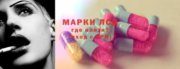 прущие грибы Сосновка