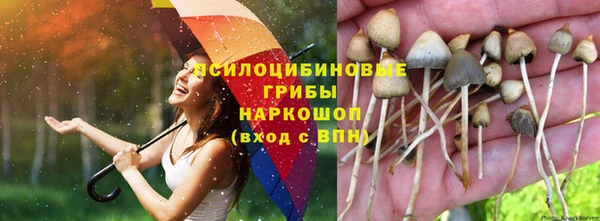 гашишное масло Володарск