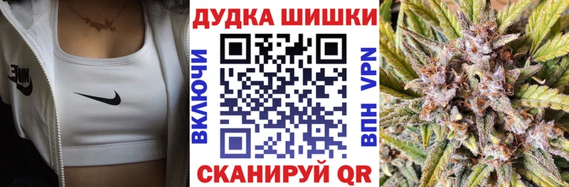 omg ТОР  Павлово  Конопля ГИДРОПОН 